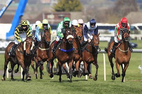 runners grand national 2019